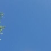  ,  , 42