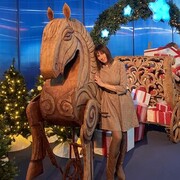 ���������� ���������, ���� ������� ����, 42 ����, ������������ ��� ����� � ���������, c�������� ���������