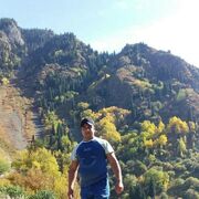  ,  Bek, 31