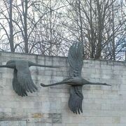 ���������� �����-���������, ���� ������� �������, 38 ���, ������������ ��� ������, ����� � ���������