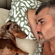 ���������� ����������, ���� ������� ������, 38 ���, ������������ ��� c�������� ���������