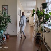 ���������� ����, ���� ������� ������, 37 ���, ������������ ��� ������, ����� � ���������, c�������� ���������