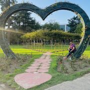 ���������� ���������, ���� ������� Erkebulan, 33 ����, ������������ ��� ������