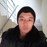  ,   Zamir, 33 ,   ,   , c 