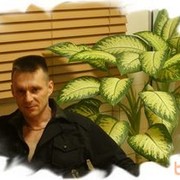  ,   , 48 ,     , c 