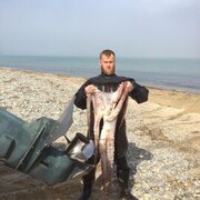 ���������� �����������, ���� ������� ������, 38 ���, ������������ ��� ������, ����� � ���������