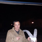  ,   Javlon, 101 ,   