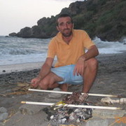 ���������� Madrid, ���� ������� Korol, 85 ���, ������������ ��� ������, ����� � ���������, c�������� ���������