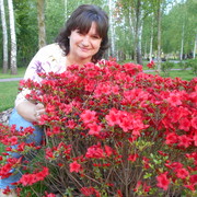 ���������� ����, ���� ������� �����, 61 ���, ������������ ��� ������, ����� � ���������, c�������� ���������