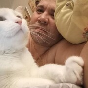  --,   , 43 ,   ,   , c 