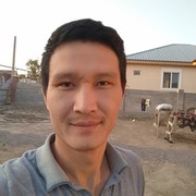  ,   Rasa, 34 ,   