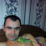  ,   , 41 ,  