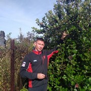  ,   , 38 ,   ,   , c , 