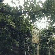  ,   , 29 ,     , c 