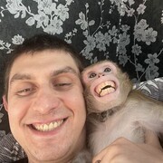 ���������� �������, ���� ������� ���������, 33 ����, ������������ ��� ������, ����� � ���������, ���������