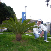 ���������� ������, ���� ������� ���������, 38 ���, ������������ ��� ������, ����� � ���������, c�������� ���������