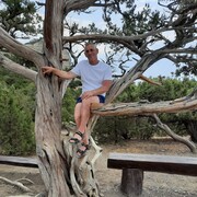 ���������� ��������, ���� ������� ������, 49 ���, ������������ ��� ������, ����� � ���������, c�������� ���������