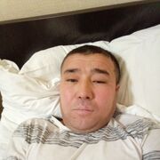  -,   , 44 ,   ,   