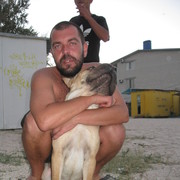  ,   IGOR, 52 ,   ,   , c , 