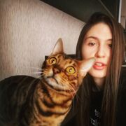 ���������� �����-���������, ���� ������� ����������, 33 ����, ������������ ��� ������, ����� � ���������, c�������� ���������, ���������