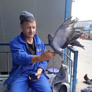 ���������� ���������, ���� ������� �����, 43 ����, ������������ ��� ������, ����� � ���������