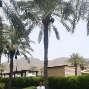  ,   , 34 ,     , c 