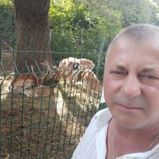  ,   , 51 ,   ,   , 