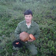 � ������������