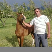  ,   , 38 ,   ,   , c 