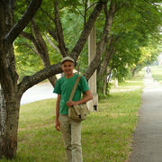 ���������� �������, ���� ������� ��������, 71 ���, ������������ ��� ������