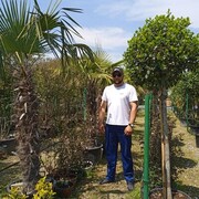 ���������� ���������, ������� �����, 34