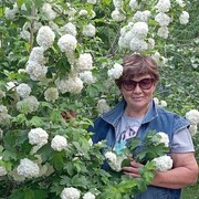 ���������� ��������, ���� ������� ������, 56 ���, ������������ ��� ������, ����� � ���������, c�������� ���������