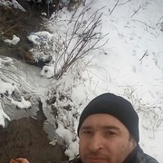  ,   , 41 ,  