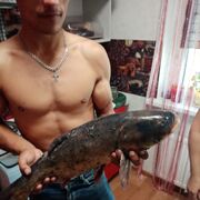 ���������� ������, ���� ������� ����, 34 ����, ������������ ��� ������, ����� � ���������