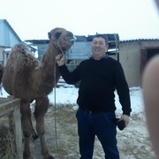 ���������� ������, ���� ������� ���, 47 ���, ������������ ��� ������, ����� � ���������, c�������� ���������