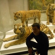 ���������� ���������� �����, ���� ������� ARMINE, 34 ����, ������������ ��� ����� � ���������, c�������� ���������