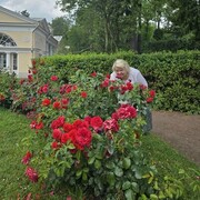  -,   Marina, 62 ,   ,   