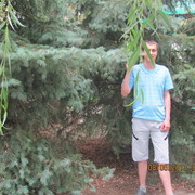 ���������� �����, ���� ������� ������, 34 ����, ������������ ��� ������, ����� � ���������, c�������� ���������