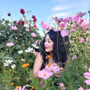 ���������� �������, ���� ������� ����, 37 ���, ������������ ��� ������, ����� � ���������