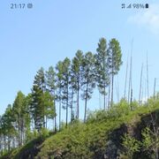  ,   , 46 ,   ,   , c 