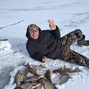 ���������� ������, ���� ������� �����, 51 ���, ������������ ��� ������, ����� � ���������