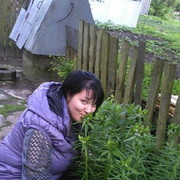  ,   , 37 ,   ,   , c 