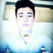 ���������� 's-Graveland, ���� ������� Zufar, 26 ���, ������������ ��� ������, ����� � ���������