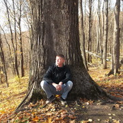 ���������� ���������, ���� ������� �������, 37 ���, ������������ ��� ������, ����� � ���������, c�������� ���������