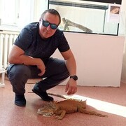 ���������� �������, ���� ������� ������, 41 ���, ������������ ��� ������, ����� � ���������