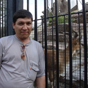  ,   Shakir, 43 ,   ,   , c 