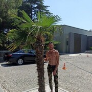 ���������� ������, ���� ������� ���������, 36 ���, ������������ ��� ������, ����� � ���������, c�������� ���������, ���������