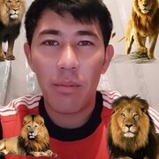 ���������� ������, ���� ������� �����, 34 ����, ������������ ��� ������, ����� � ���������, c�������� ���������