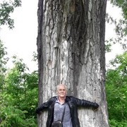 ���������� ��������, ���� ������� ���������, 62 ����, ������������ ��� ������, ����� � ���������, c�������� ���������