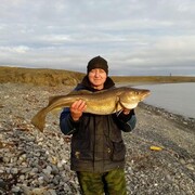 ���������� ���������, ���� ������� ������, 53 ����, ������������ ��� c�������� ���������